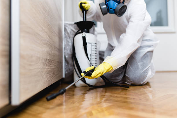 Best Local Pest Control Services  in Placerville, CA