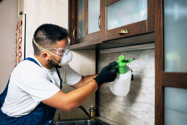 Best Emergency Pest Control  in Placerville, CA