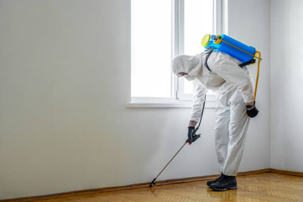 Best Pest Control Near Me  in Placerville, CA