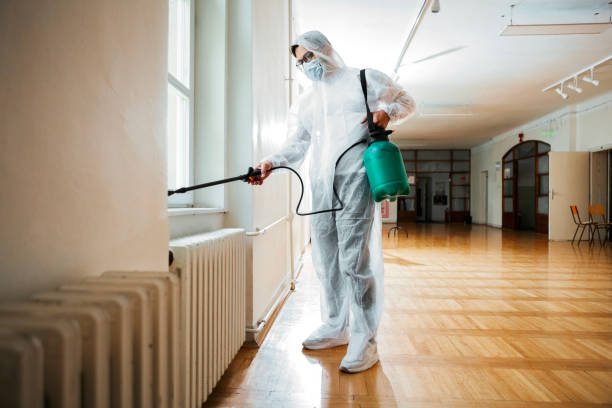 Best Affordable Pest Control Services  in Placerville, CA